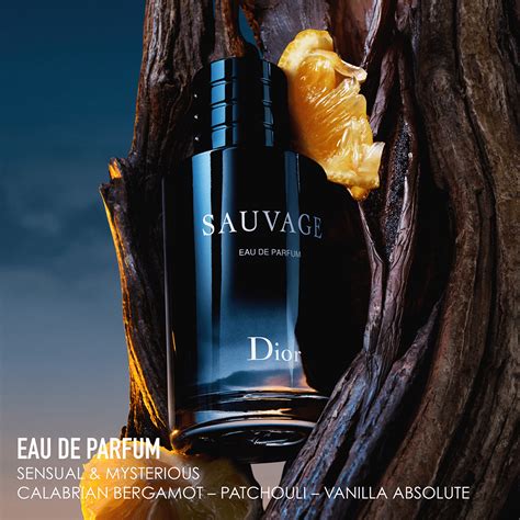 fragrantica.com sauvage dior|Dior Sauvage for men boots.